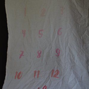 Cloud Island Pink Baby Monthly Milestones Photography Backdrop Muslin Blanket
